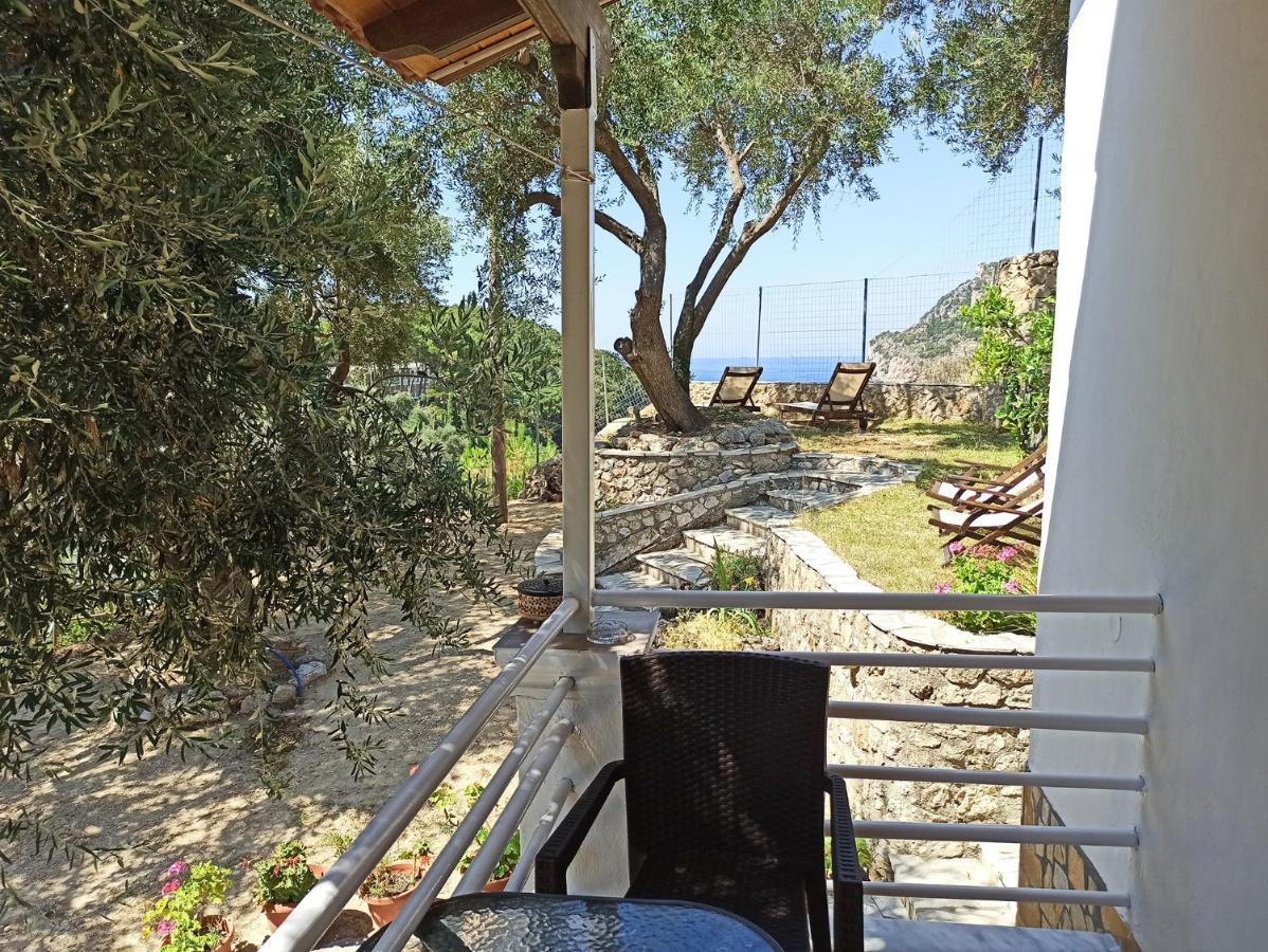 Dolphin Apartments Paleokastritsa Exterior photo